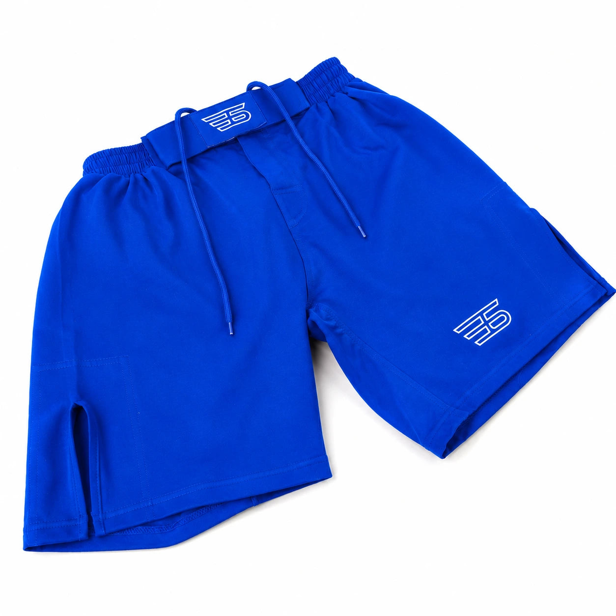 Elite Performance MMA & Boxing Training Shorts